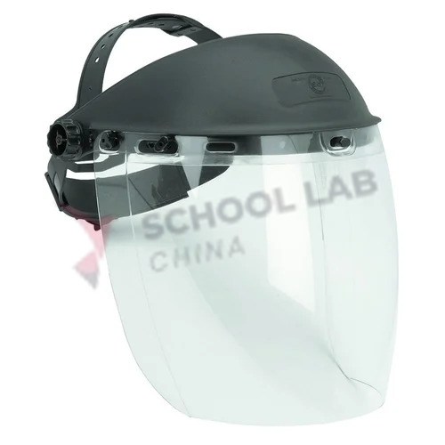 bolle Safety IFS20 Clear Face Shield